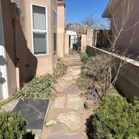 Bush Trimming by Raines lawn service reviewed on February 28, 2026