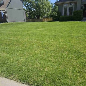 yard service by Inspo Lawncare reviewed on August 15, 2025
