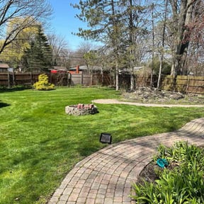 yard service by CCs lawn service LLC reviewed on August 19, 2025