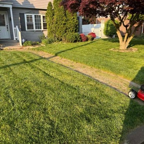 yard service by Mos Landscaping Service reviewed on August 17, 2025