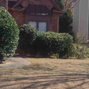 Bush Trimming by Austin Double A Contractors LLC reviewed on August 20, 2025