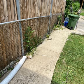 Bush Trimming by Propert Doctors reviewed on August 18, 2025