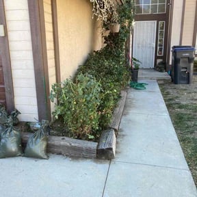Bush Trimming by Chloe’s Lawn Care LLC reviewed on August 21, 2025
