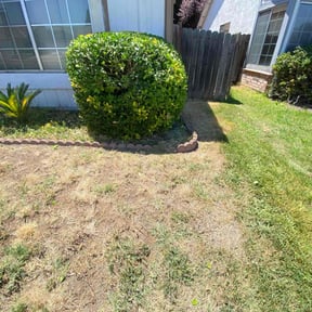 Bush Trimming by Turner's Lawn Care Solutions LLC reviewed on December 11, 2025