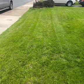 grass cutting by Sons bros and I lawn service reviewed on November 26, 2023