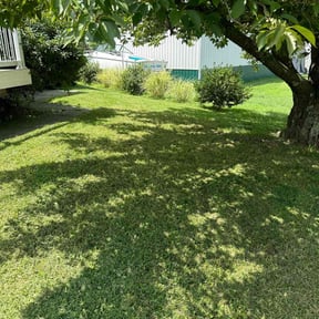 gardening service by Leo lawn care reviewed on August 16, 2025