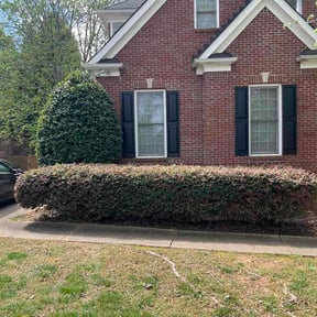 Bush Trimming by UnlimitedGroundCare. reviewed on April 8, 2026
