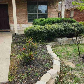 Bush Trimming by Father and son handyman reviewed on March 29, 2026