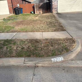 Leaf Removal by Cabrales lawn service reviewed on August 18, 2026