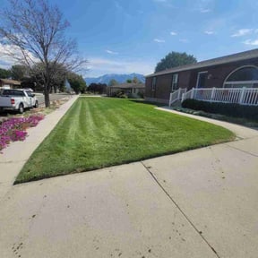 landscape maintenance by Grass Guardians reviewed on November 25, 2025