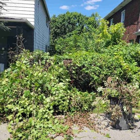 Bush Trimming by Fast Pace Lawn Care reviewed on August 24, 2026