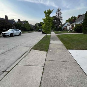 landscaping by Lawn Dasher LLC reviewed on August 21, 2025