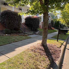 Bush Trimming by G&amp;G landscaping LLC  reviewed on November 10, 2025