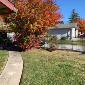 Bush Trimming by Bestway Lawn Care reviewed on August 19, 2025