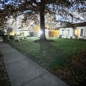 Leaf Removal by JD Landscaping reviewed on May 23, 2026