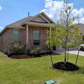 Tree Care by Royal Scenery LLC reviewed on August 16, 2025