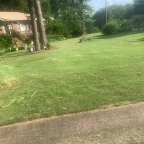 Bush Trimming by Big Horn Landscaping reviewed on August 17, 2025