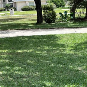 landscape maintenance by Fresh Greens Lawn care co. reviewed on August 17, 2025