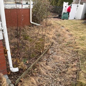 Leaf Removal by TwinEagleLandscaping reviewed on December 25, 2025