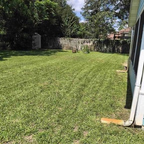 lawn service by AJG Renovation & Landscaping reviewed on June 27, 2025