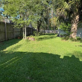 yard care by Christian McDaniel Superior Lawncare LLC reviewed on August 17, 2025
