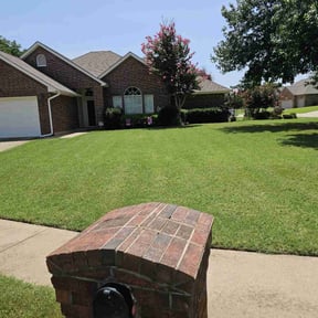 yard care by TARLY & SONS LAWNCARE reviewed on August 16, 2025