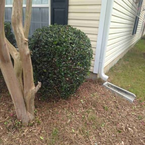 Bush Trimming by Hatchetts lawn and landscape reviewed on November 23, 2025