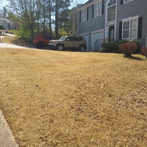 Bush Trimming by classic cuts lawn care reviewed on August 21, 2025