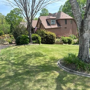 yard care by FALCON LANDSCAPE AND HOME SOLUTIONS reviewed on August 15, 2025