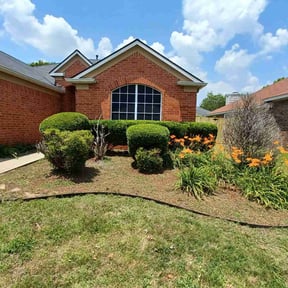 Bush Trimming by MelMar Lawn Care reviewed on August 20, 2025