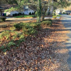 Leaf Removal by Top quality reviewed on November 29, 2025