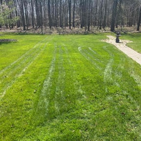 yard work by Smith's Services reviewed on August 16, 2025