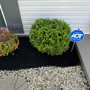 Mulching by Precision Landscaping & more reviewed on August 17, 2025