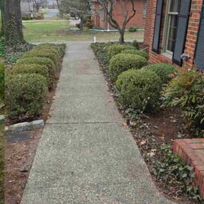 Leaf Removal by DR Lawn Care Services reviewed on March 23, 2026