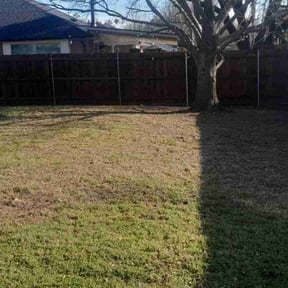 Leaf Removal by Platinum Landscape reviewed on September 27, 2025