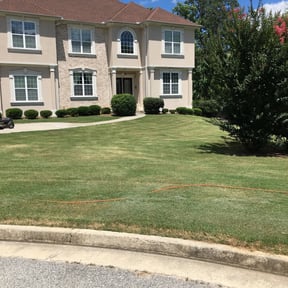 Bush Trimming by BiG Lawn Service reviewed on August 16, 2025