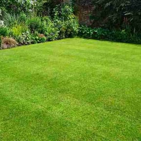 lawn care by D&amp;D Lawn Love reviewed on June 21, 2025