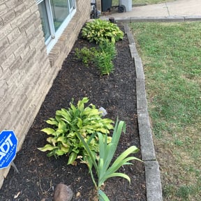 Flower Bed Weeding by D's Lawn Care reviewed on August 18, 2025