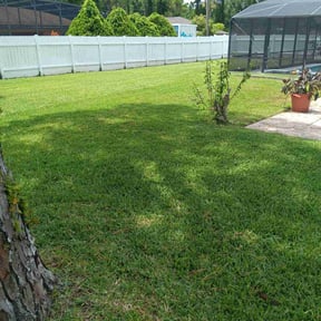 landscaping by MR Lawns LLC reviewed on November 27, 2025