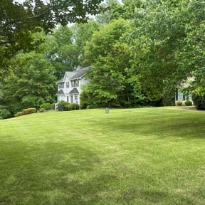 yard work by 2 Leaf Landscape reviewed on August 15, 2025