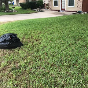Bush Trimming by Tx Curb Appeal reviewed on August 21, 2025