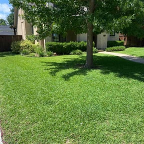 residential landscaping by Kiko Lawn Care reviewed on August 14, 2025