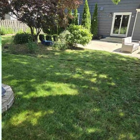 yard service by Grove Professional reviewed on August 16, 2025