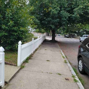 Leaf Removal by Knox Vegas Lawn Service reviewed on September 1, 2026