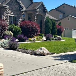 gardening service by Matus lawncare reviewed on August 21, 2025