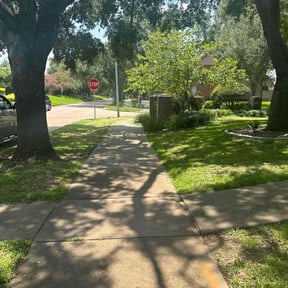 landscape maintenance by The Plants' Pruner reviewed on August 18, 2025