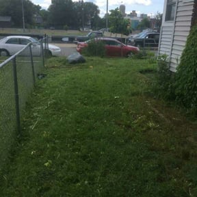 Bush Trimming by Just Cuts Lawn Care reviewed on August 21, 2025