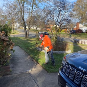 Leaf Removal by C&amp;J Landscaping reviewed on September 28, 2025