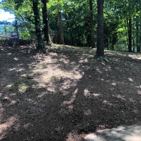 Leaf Removal by Innovation Conservation reviewed on August 17, 2025