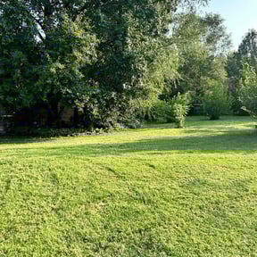 grass maintenance by H&M Lawn Care reviewed on April 27, 2024